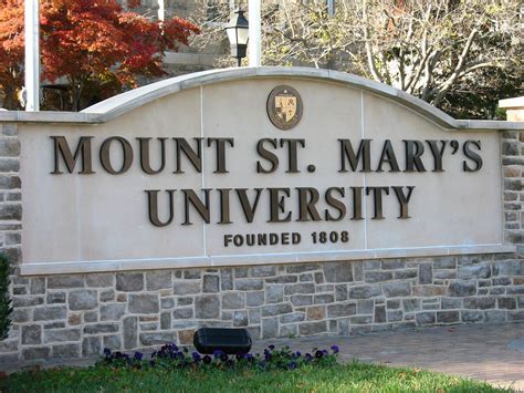 Mount st mary's university la. Things To Know About Mount st mary's university la. 